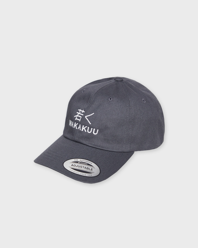 Cap Low Profile Mörkgrå