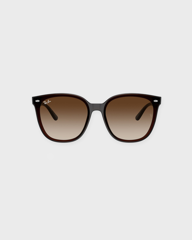 Ray-Ban Sunglasses 0RB4423D Ljusbrun ONESIZE